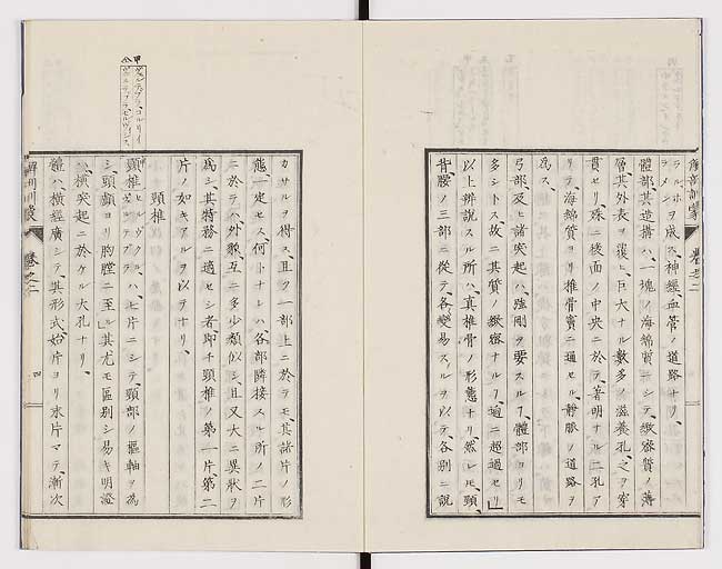 K0021s0048