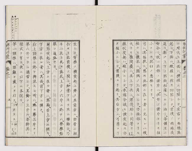 K0021s0049