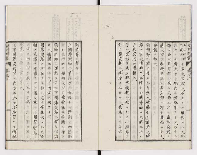 K0021s0050