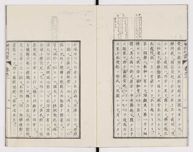 K0021s0051
