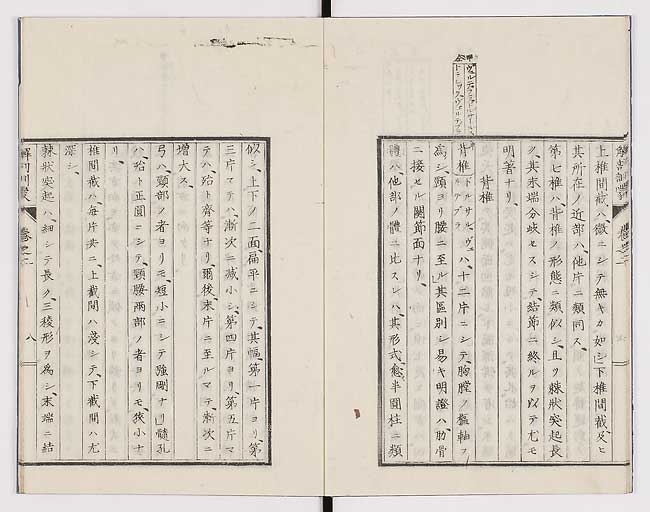 K0021s0052