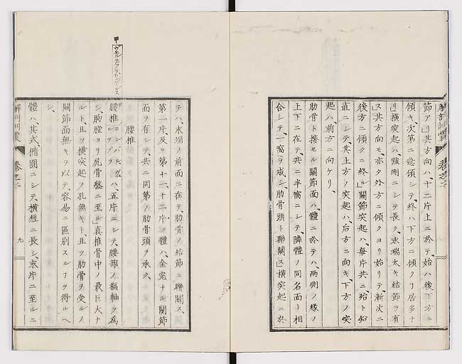 K0021s0053