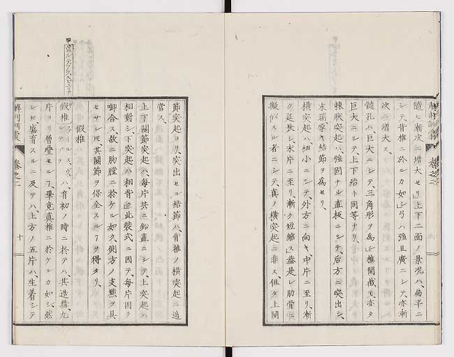 K0021s0054