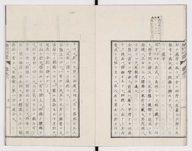 K0021s0055
