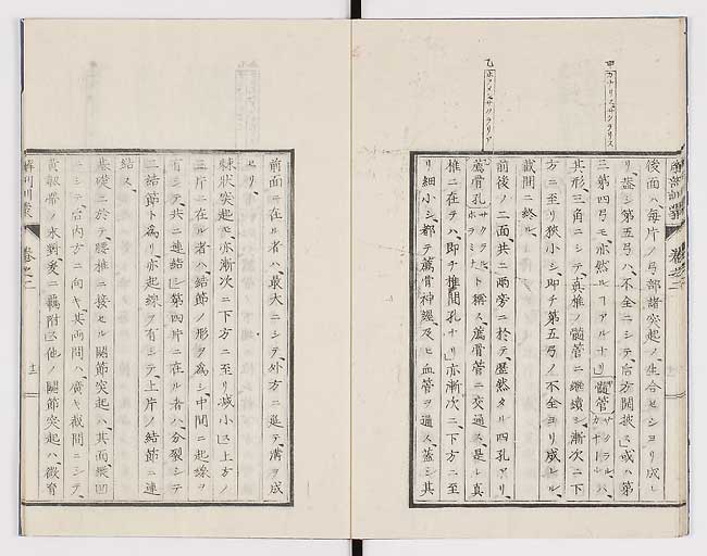 K0021s0056