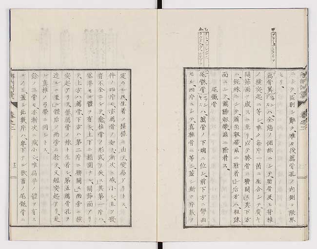 K0021s0057