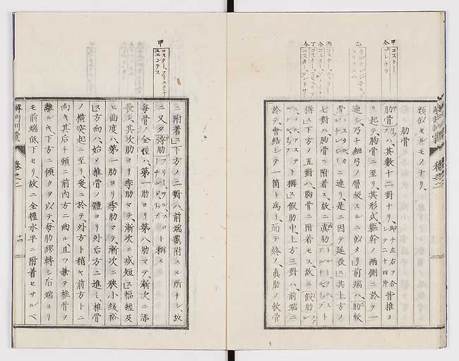 K0021s0058