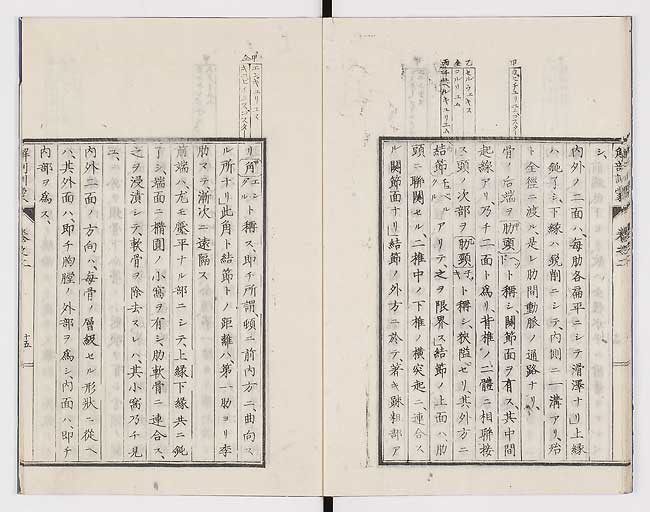 K0021s0059