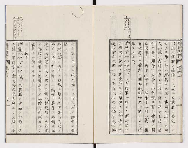 K0021s0060