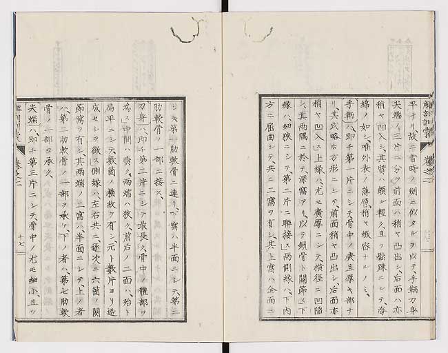 K0021s0061