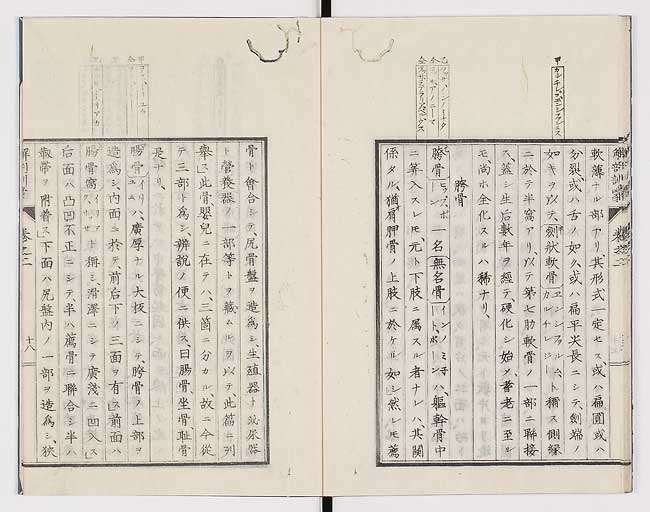 K0021s0062