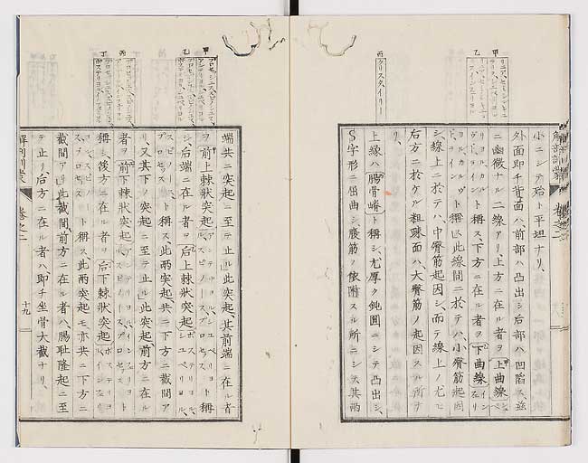 K0021s0063