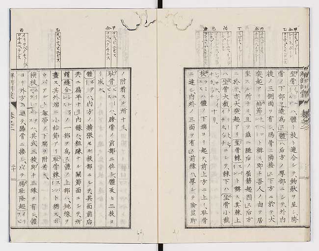 K0021s0064