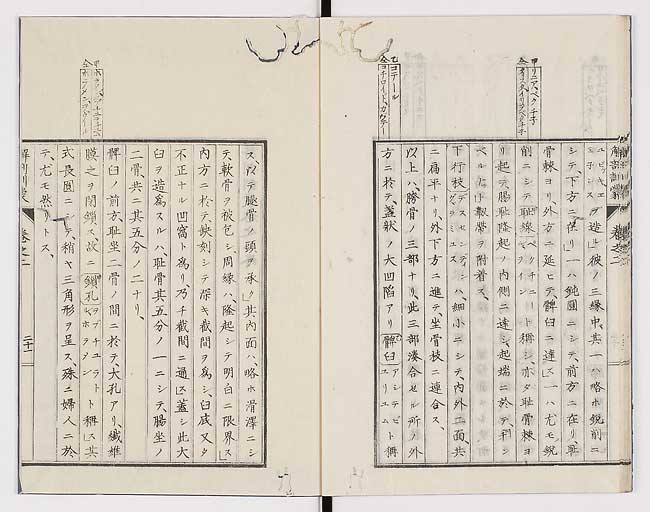 K0021s0065