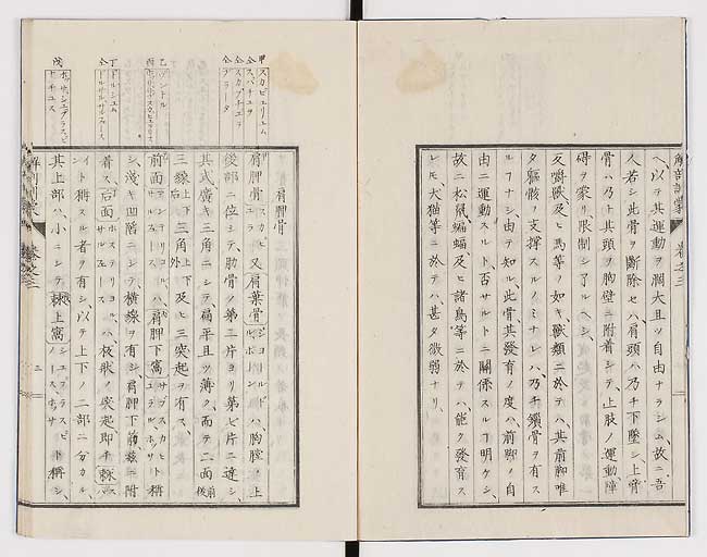 K0021s0071