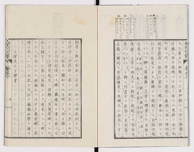 K0021s0073