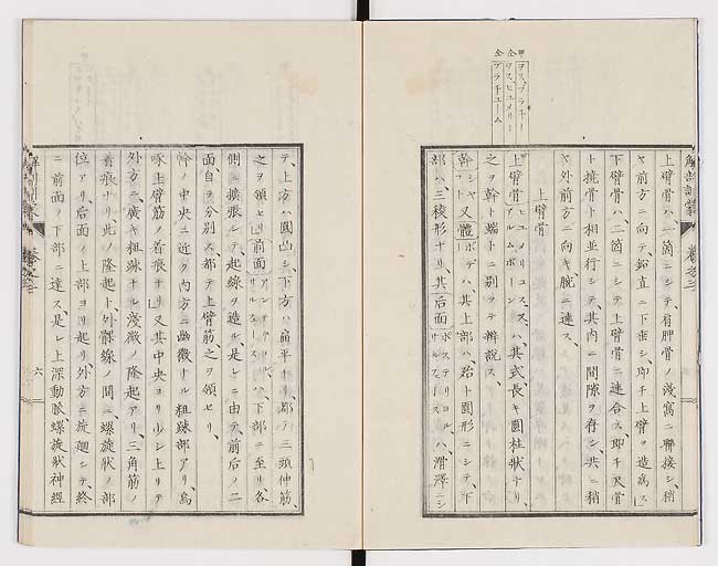 K0021s0074