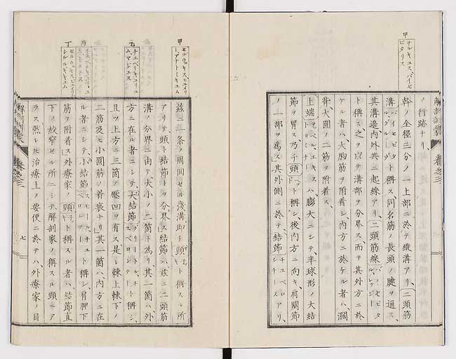K0021s0075