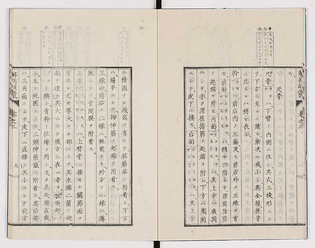 K0021s0077