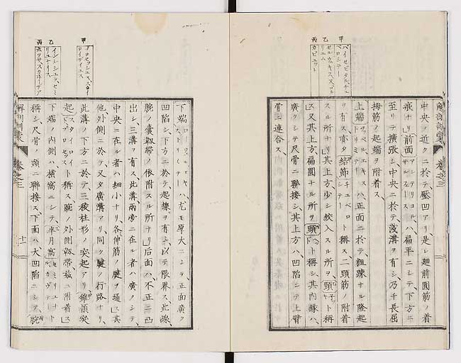 K0021s0079