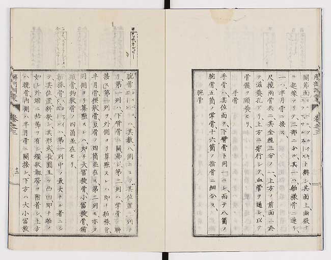 K0021s0080