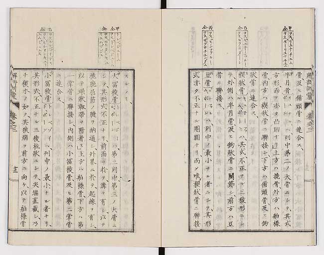 K0021s0081