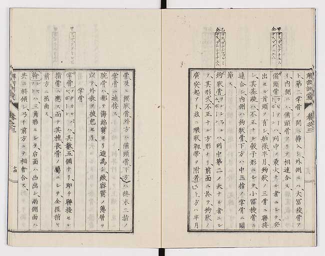 K0021s0082