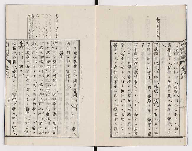 K0021s0083