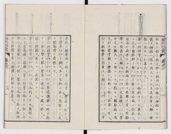 K0021s0084