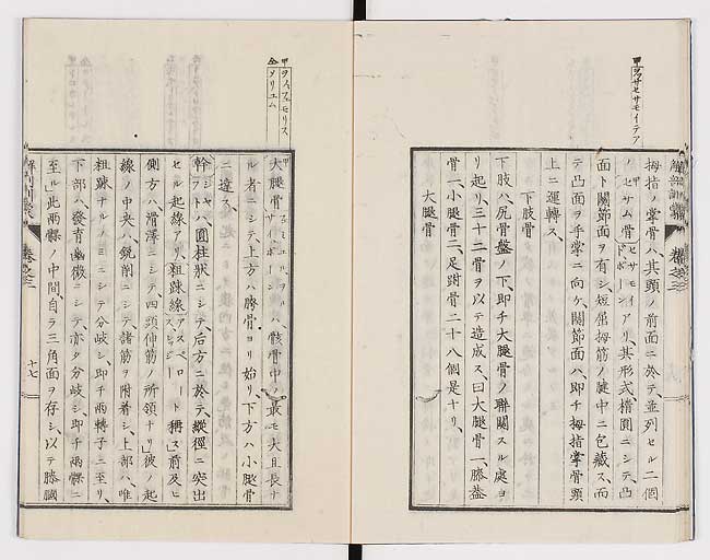 K0021s0085