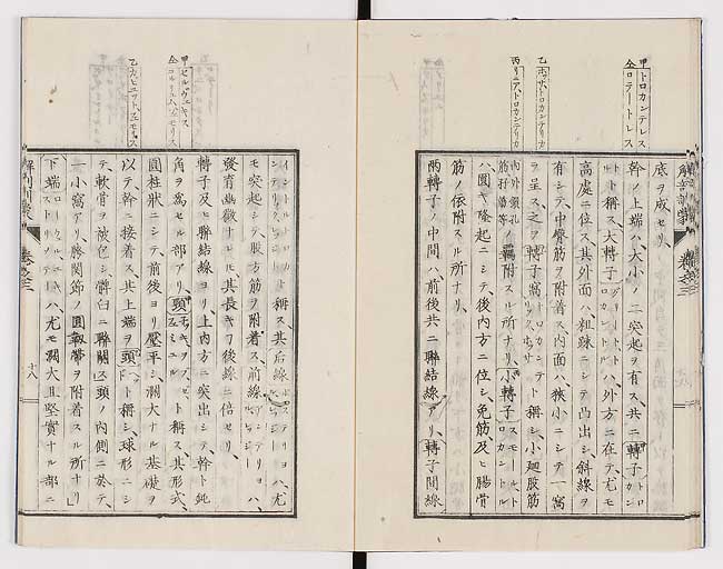 K0021s0086