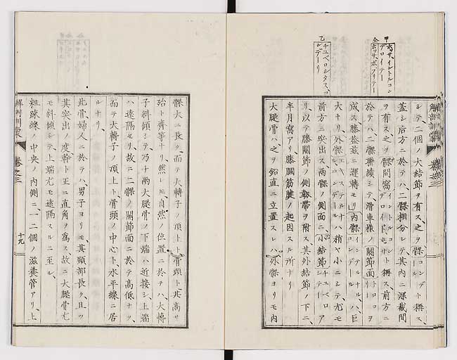 K0021s0087