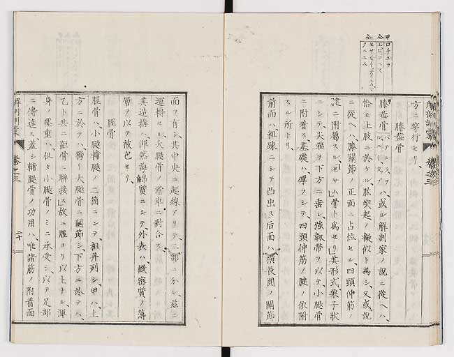 K0021s0088