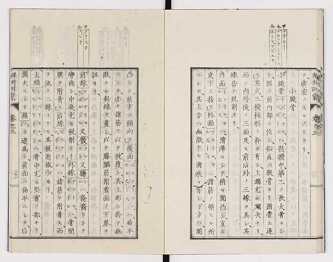 K0021s0089