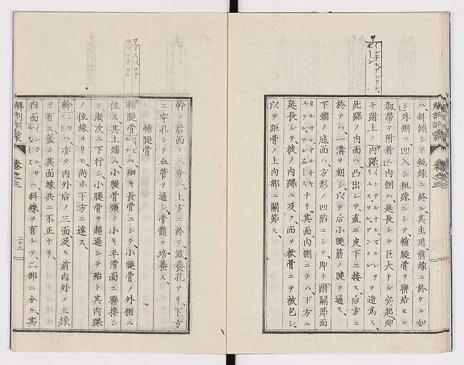 K0021s0091