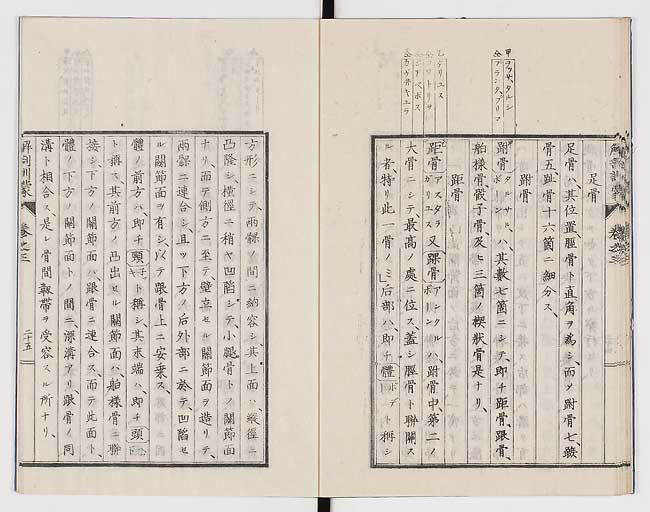 K0021s0093