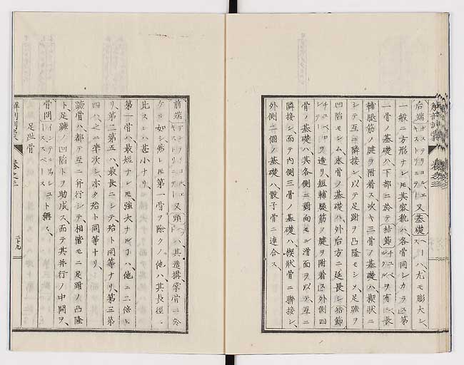 K0021s0097