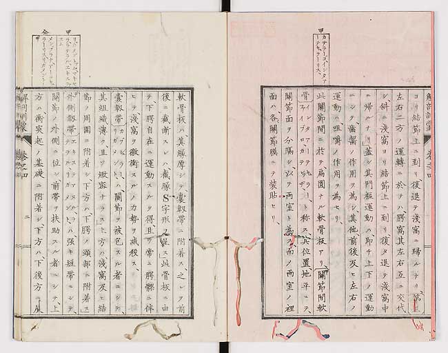 K0021s0103