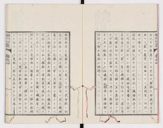 K0021s0105