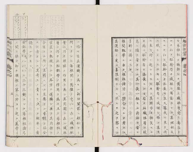 K0021s0106