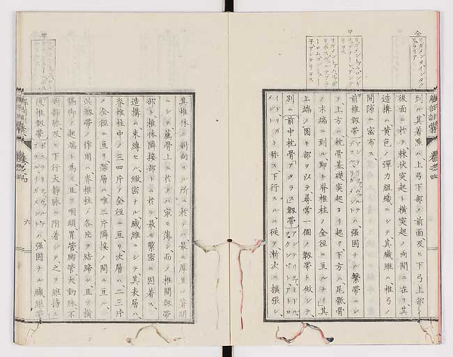 K0021s0107