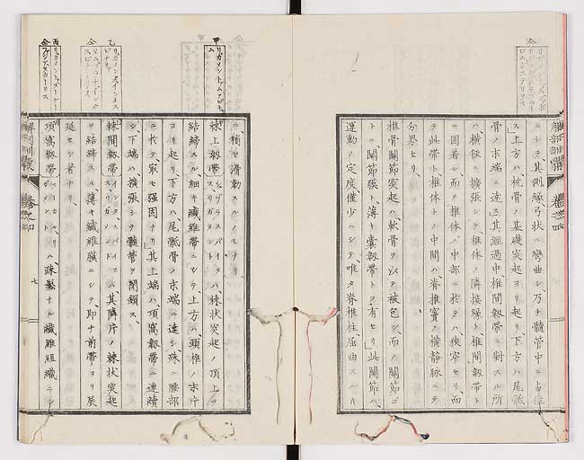 K0021s0108