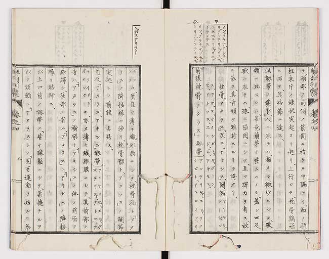 K0021s0109