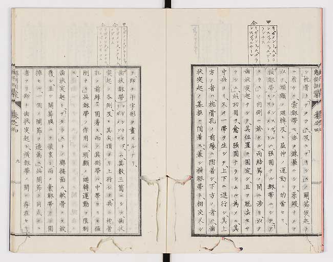 K0021s0110