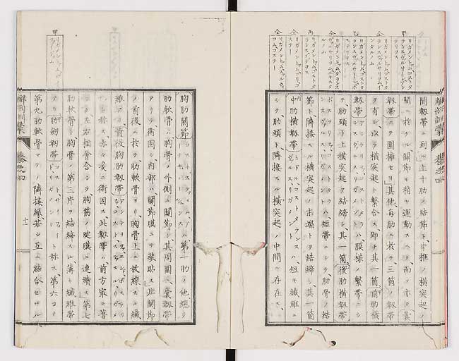 K0021s0112