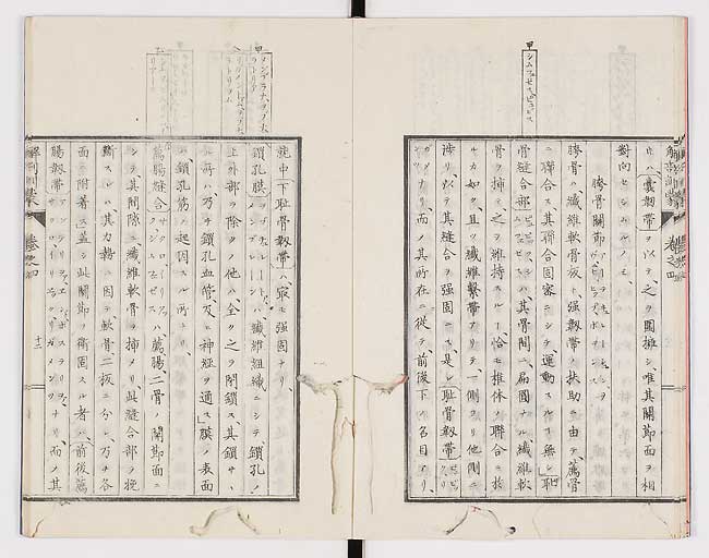 K0021s0113