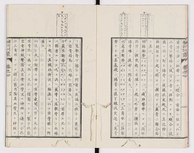 K0021s0114