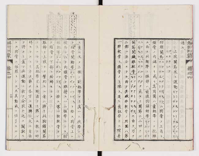K0021s0115