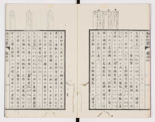 K0021s0116