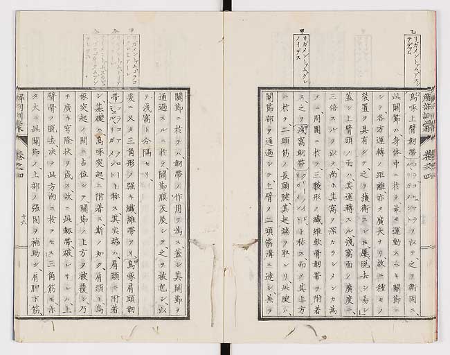 K0021s0117